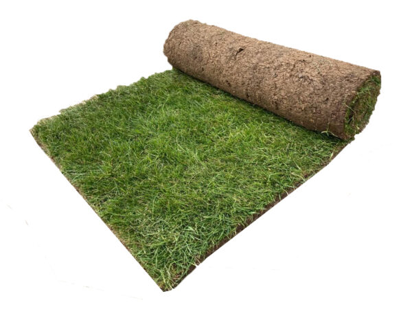 Premium Landscape Turf